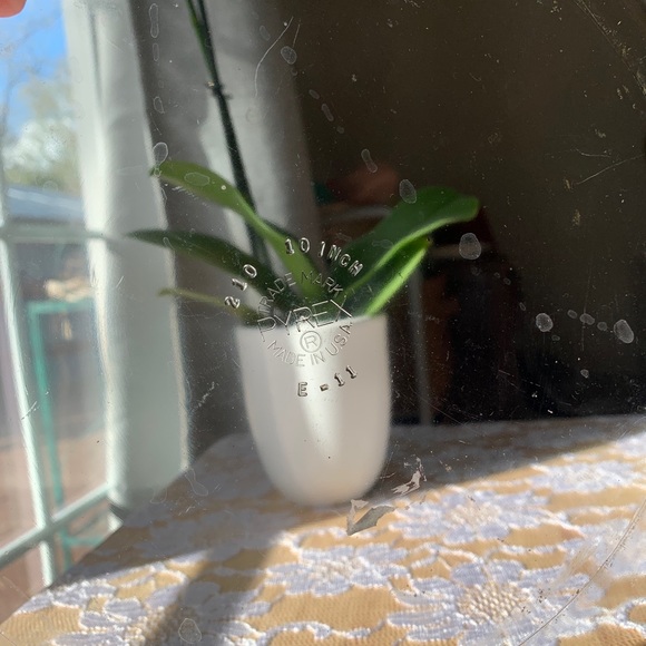 Pyrex plates - Picture 9 of 13